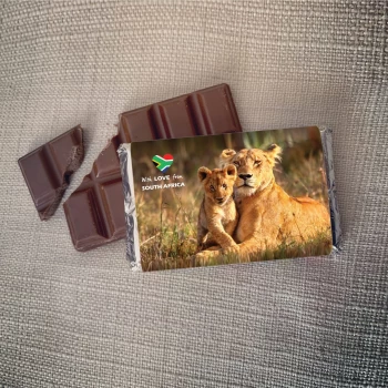 south Africa lion